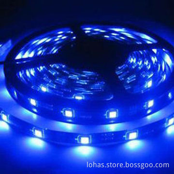 Blue LED strips with SMD5050, high lumen, 18-22lm/LED, 60LEDs/m, flexible.
